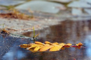 Мозговой шторм «У природы нет плохой погоды»