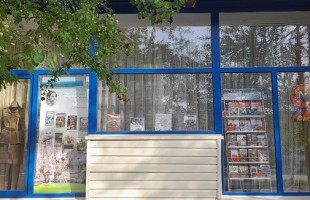 Всероссийская патриотическая акция «Окна Победы» охватит все библиотеки Уфы