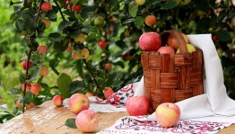 Вечер народных традиций «Яблочный спас собрал нас»