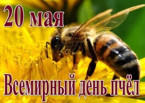 «Трудолюбимая пчела!»