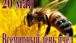 «Трудолюбимая пчела!»