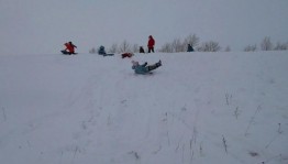 Развлекательно-игровая программа «Эх вы сани мои сани!».