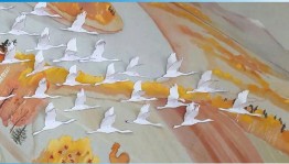 Информационный час«Праздник Белых журавлей»