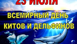 «Кругом вода»