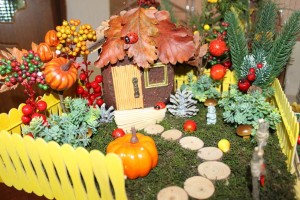 Конкурс «Осень в деревни»