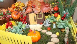 Конкурс «Осень в деревни»