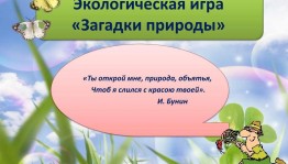 Экологическая игра «Тайны и загадки природы»