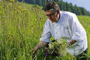 Познавательное мероприятие«В гостях у природы»
