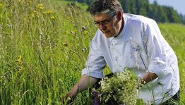 Познавательное мероприятие«В гостях у природы»