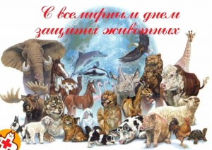 Зоо-встреча «Дикие и домашние–все такие важные»