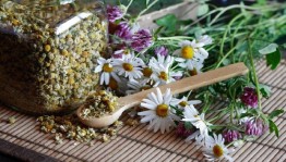 Мастер – класс «Есть в травах и цветах целительная сила»