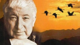 Патриотический час «Зов белых журавлей»