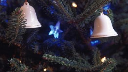 Концерт «Чудеса в новогоднюю ночь»