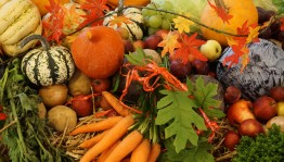 «Осенняя ярмарка»