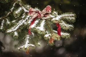 Вечер отдыха «Новогодний отРЫв»