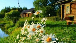 «Люблю тебя, мой край родной!»