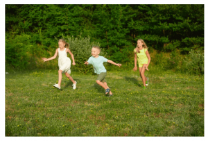 Программа «На полянке дружбы»