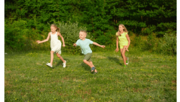 Программа «На полянке дружбы»