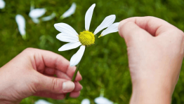 Игровая программа «Погадаем на ромашке»