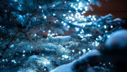 Новогодние посиделки «Весёлое Новогодье»