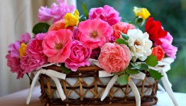 Цветы для педагога