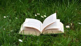 Час общения «Читатель на траве»