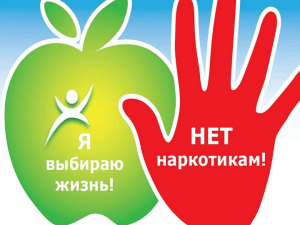 «Горькие плоды, сладкой жизни»