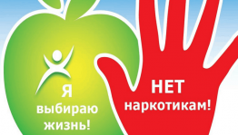 «Горькие плоды, сладкой жизни»