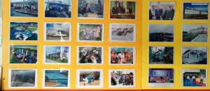 Моя Республика