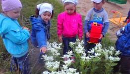 Прогулочный маршрут «Экотропа»