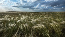 Онлайн фото–флешмоб «ЛЮБЛЮ ТЕБЯ МОЙ КРАЙ РОДНОЙ»