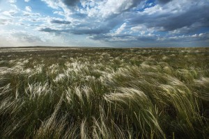 Онлайн фото–флешмоб «ЛЮБЛЮ ТЕБЯ МОЙ КРАЙ РОДНОЙ»