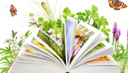 Экологический час «Книжки умные читаем и природу уважаем»