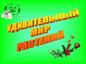 «Удивительный мир растений» викторина