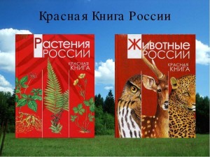 «Красная книга-сигнал бедствия»