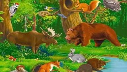 Познавательная программа «Животный мир»