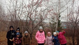 «Экскурсия в осенний лес»