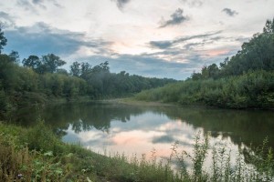 «Мир природы»