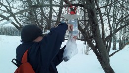 Акция «Покормите птиц зимой»