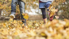 Игровая программа«Осень листьями шуршит»