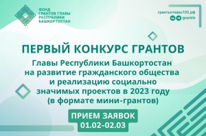 Объявлен первый конкурс грантов Главы Республики Башкортостан для молодых НКО