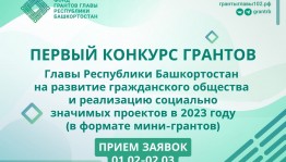Объявлен первый конкурс грантов Главы Республики Башкортостан для молодых НКО