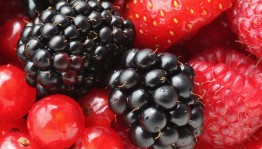 «Спелая ягода»