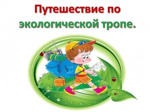 Прогулка по экологической тропе.