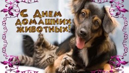 «Меньшие братья - в семье доброта»