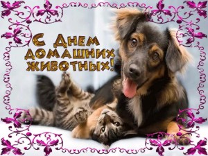 «Меньшие братья - в семье доброта»