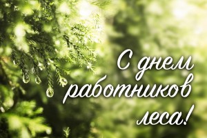 День работников леса