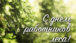 День работников леса
