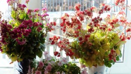 Конкурс рисунков «Цветочные фантазии»