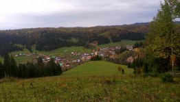 Фотоконкурс «На осенний природе»